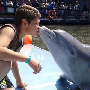 Meet your Posher, Ricardo